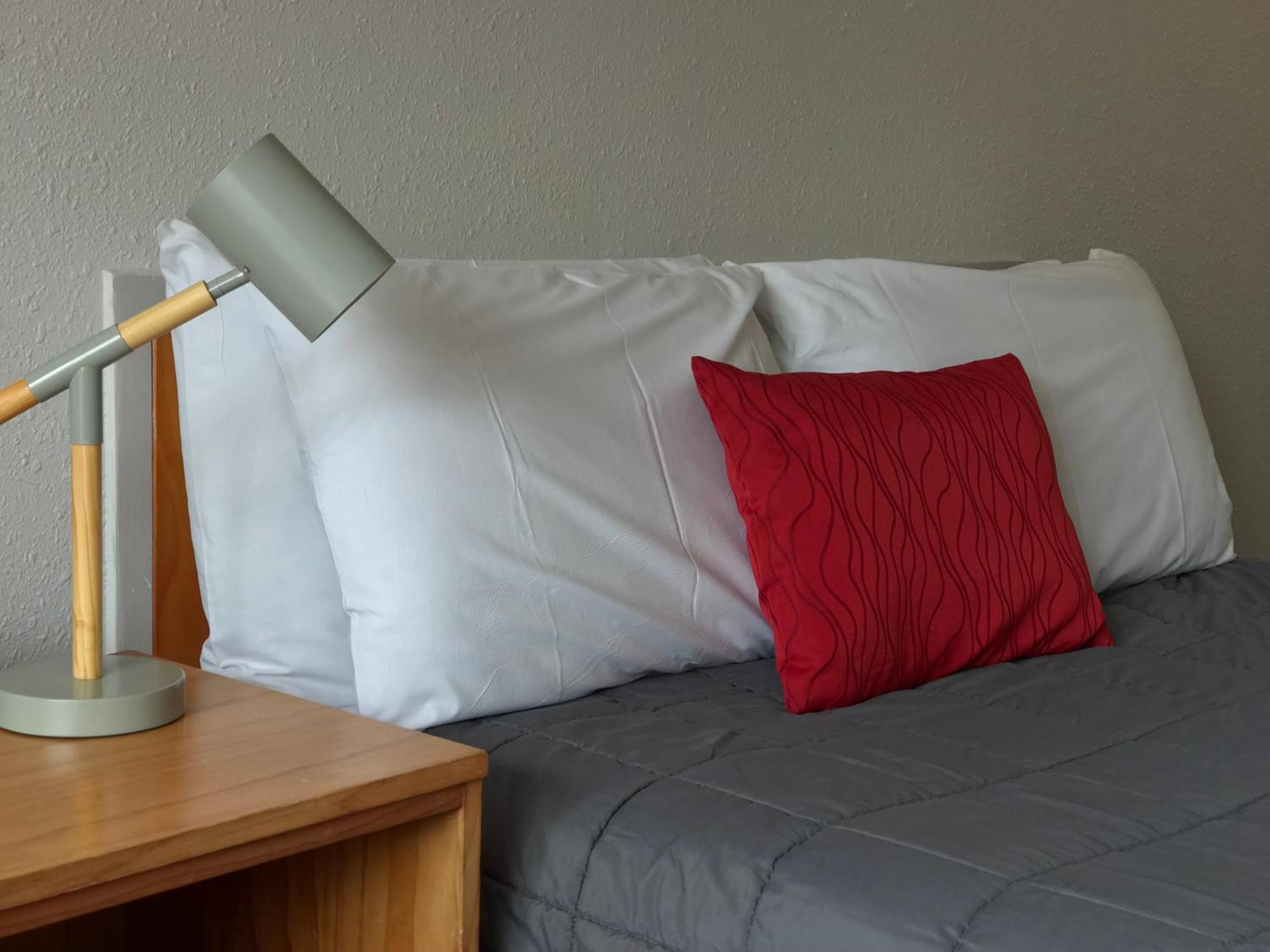 Edelweiss Motel Paihia Rum bild
